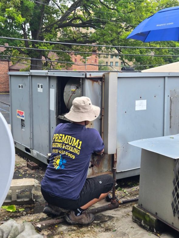 photo 2025 09 10 08 50 18 (3)